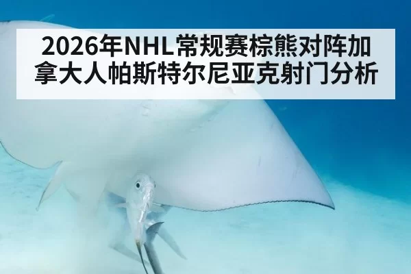 2026年NHL常规赛棕熊对阵加拿大人帕斯特尔尼亚克射门分析