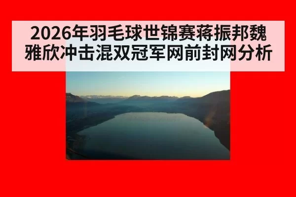2026年羽毛球世锦赛蒋振邦魏雅欣冲击混双冠军网前封网分析